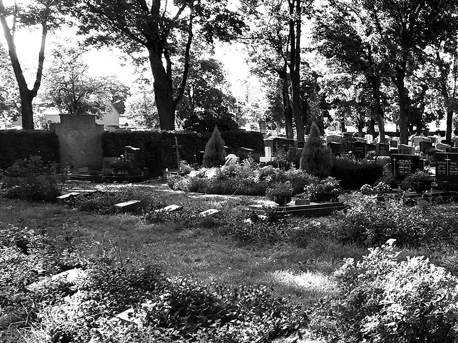 Friedhof-Weiden_IMG_7955-Ausschnitt